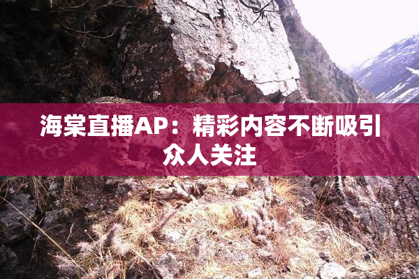 海棠直播AP：精彩内容不断吸引众人关注