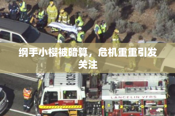 纲手小樱被暗算，危机重重引发关注