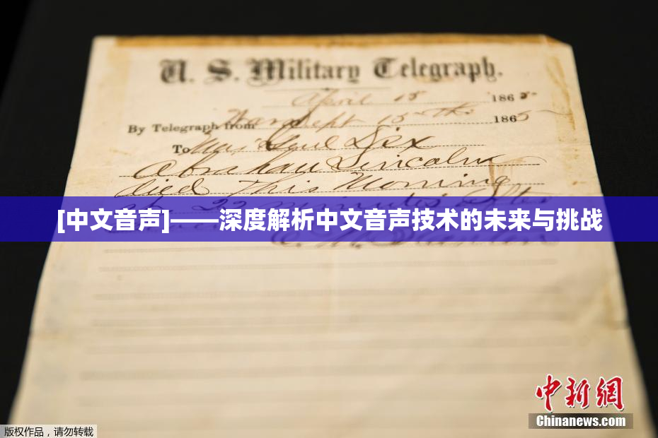 [中文音声]——深度解析中文音声技术的未来与挑战