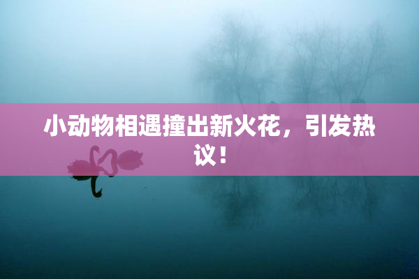 小动物相遇撞出新火花，引发热议！