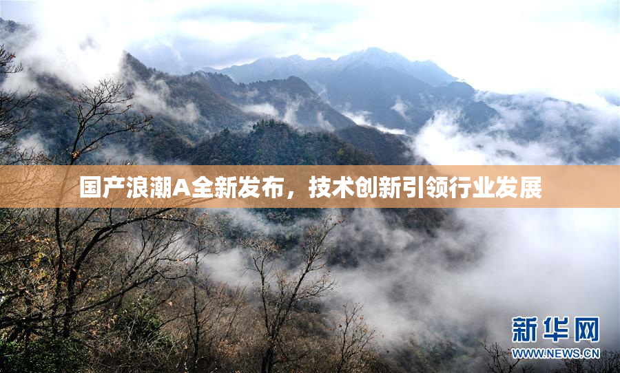 国产浪潮A全新发布，技术创新引领行业发展