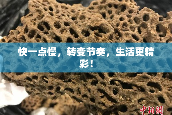 快一点慢，转变节奏，生活更精彩！