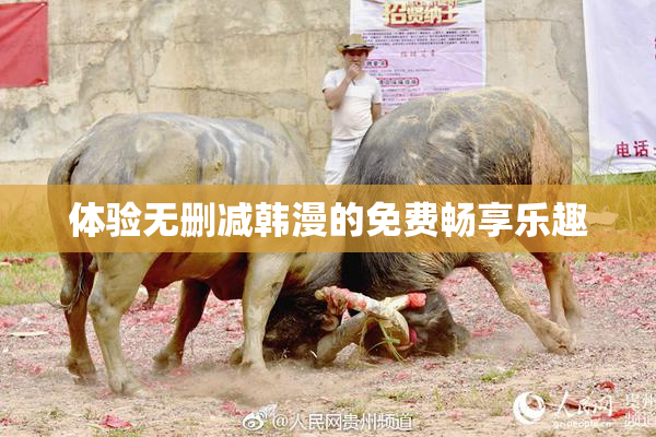 体验无删减韩漫的免费畅享乐趣