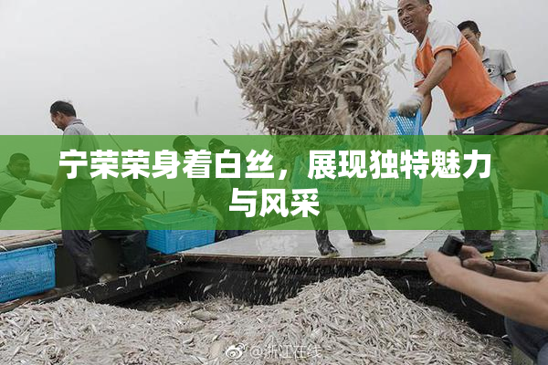 宁荣荣身着白丝，展现独特魅力与风采