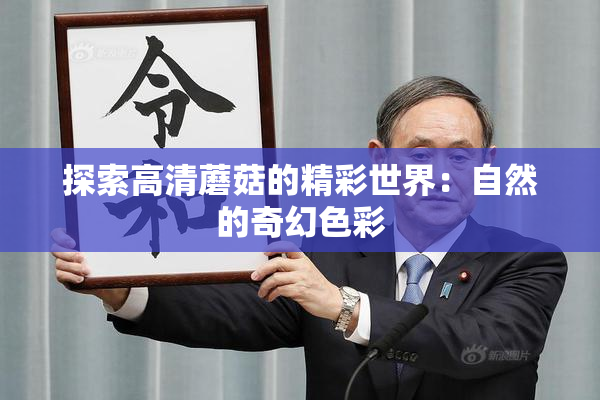 探索高清蘑菇的精彩世界：自然的奇幻色彩