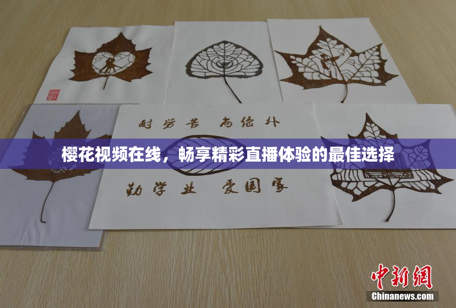 樱花视频在线，畅享精彩直播体验的最佳选择