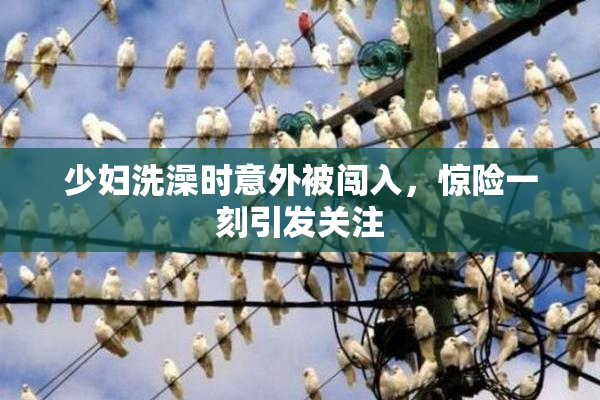 少妇洗澡时意外被闯入，惊险一刻引发关注