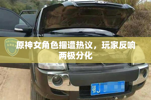 原神女角色捆遭热议，玩家反响两极分化
