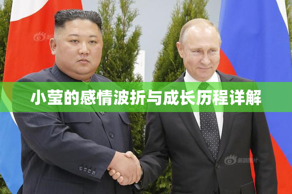 小莹的感情波折与成长历程详解