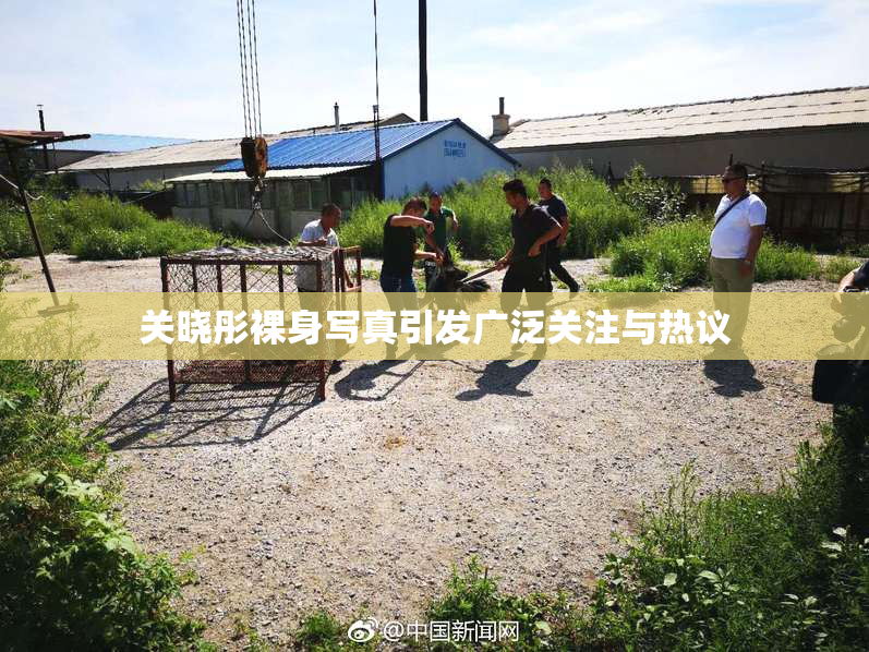 关晓彤裸身写真引发广泛关注与热议