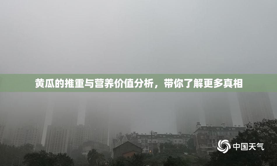 黄瓜的推重与营养价值分析，带你了解更多真相