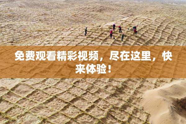 免费观看精彩视频，尽在这里，快来体验！