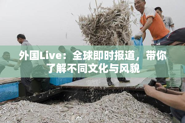 外国Live：全球即时报道，带你了解不同文化与风貌