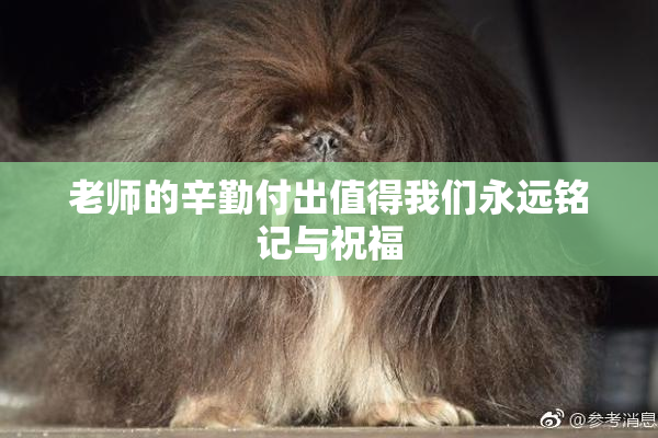 老师的辛勤付出值得我们永远铭记与祝福