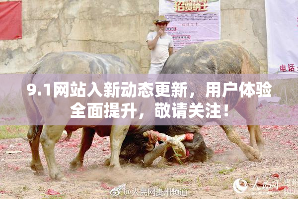 9.1网站入新动态更新，用户体验全面提升，敬请关注！