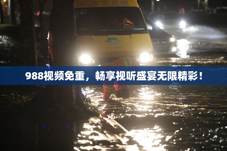 988视频免重，畅享视听盛宴无限精彩！
