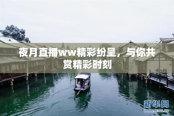 夜月直播ww精彩纷呈，与你共赏精彩时刻
