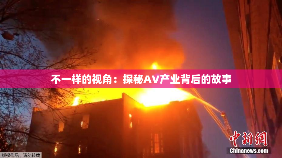 不一样的视角：探秘AV产业背后的故事