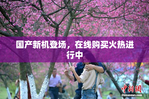 国产新机登场，在线购买火热进行中