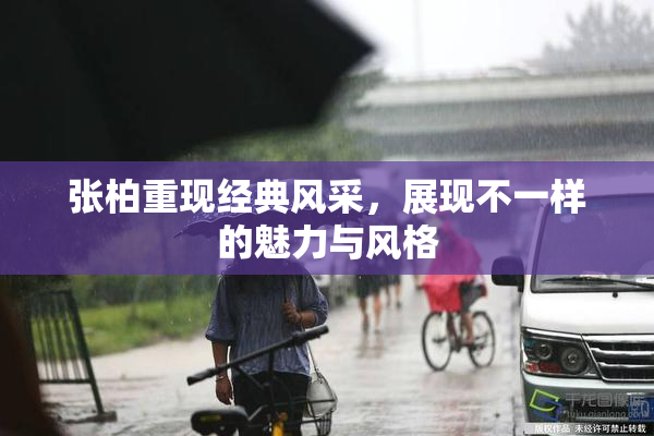 张柏重现经典风采，展现不一样的魅力与风格