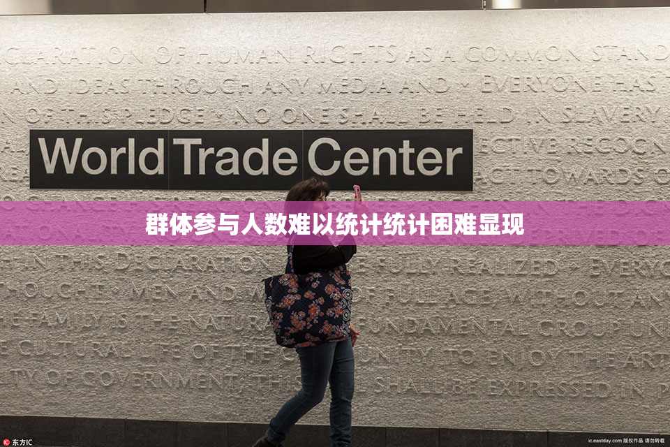 群体参与人数难以统计统计困难显现