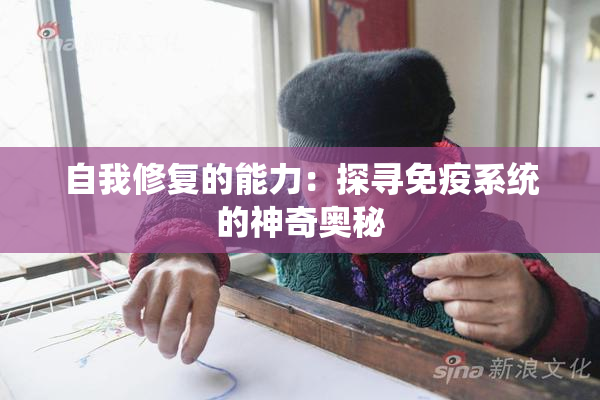 自我修复的能力：探寻免疫系统的神奇奥秘