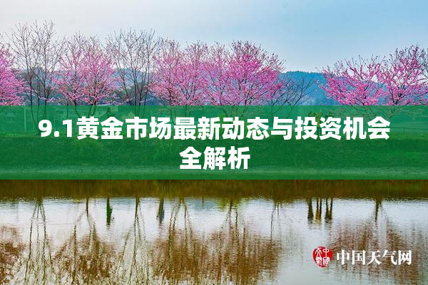 9.1黄金市场最新动态与投资机会全解析