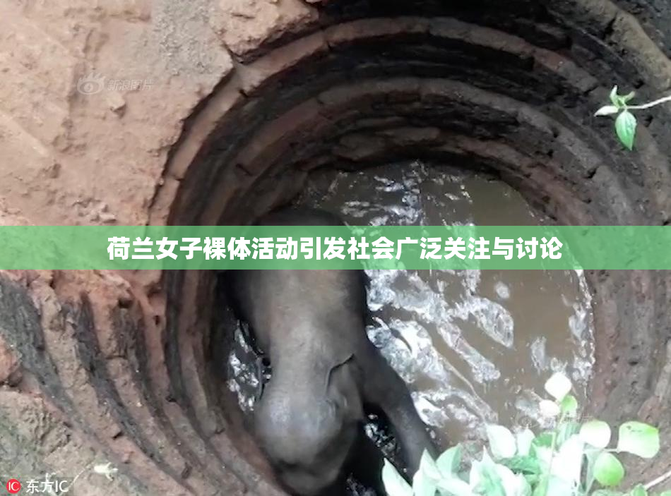 荷兰女子裸体活动引发社会广泛关注与讨论