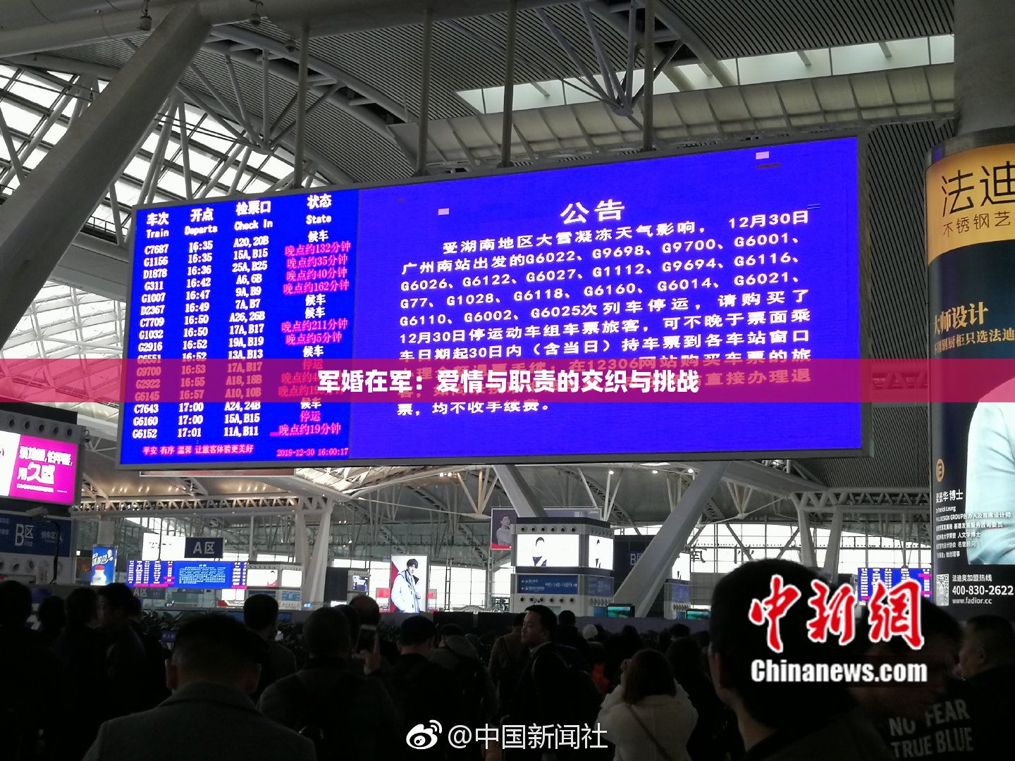 军婚在军：爱情与职责的交织与挑战