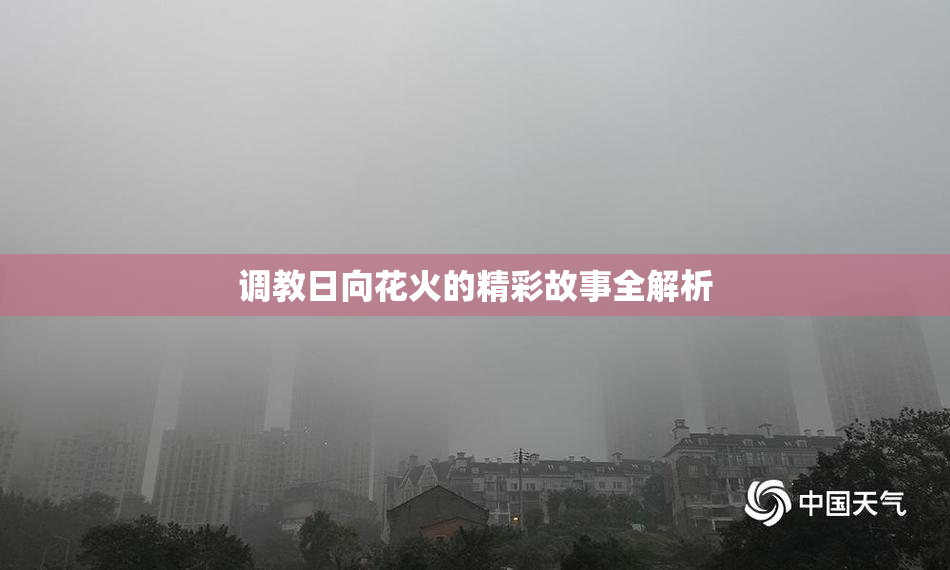 调教日向花火的精彩故事全解析
