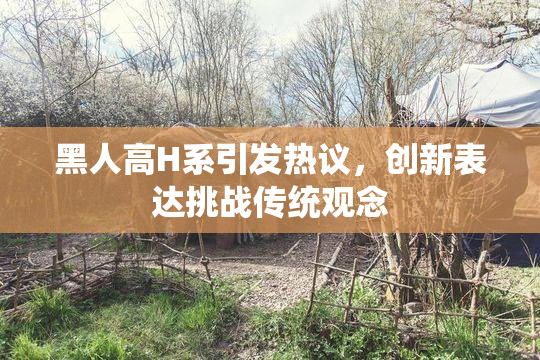 黑人高H系引发热议，创新表达挑战传统观念