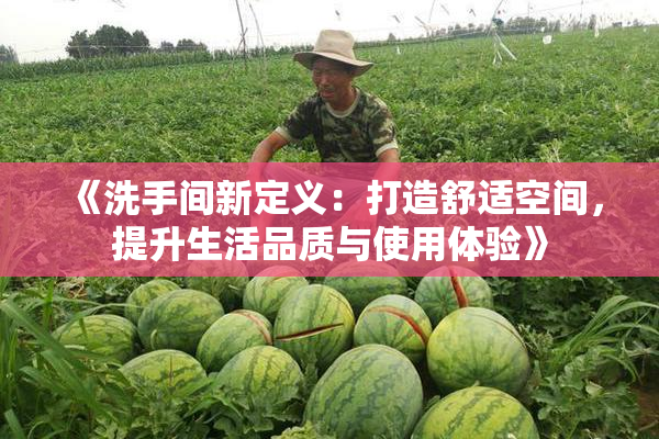 《洗手间新定义：打造舒适空间，提升生活品质与使用体验》