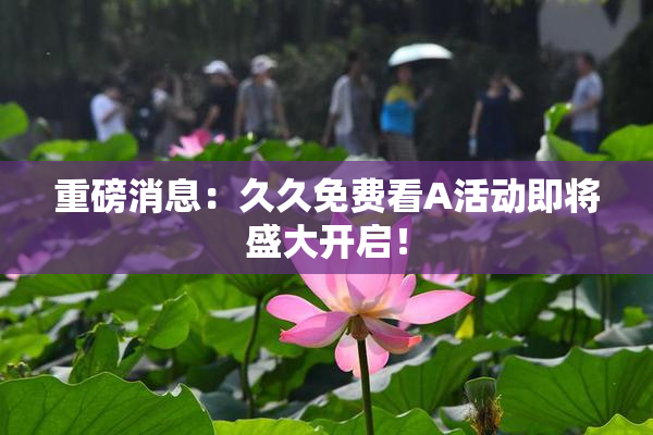 重磅消息：久久免费看A活动即将盛大开启！