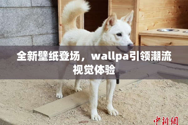 全新壁纸登场，wallpa引领潮流视觉体验