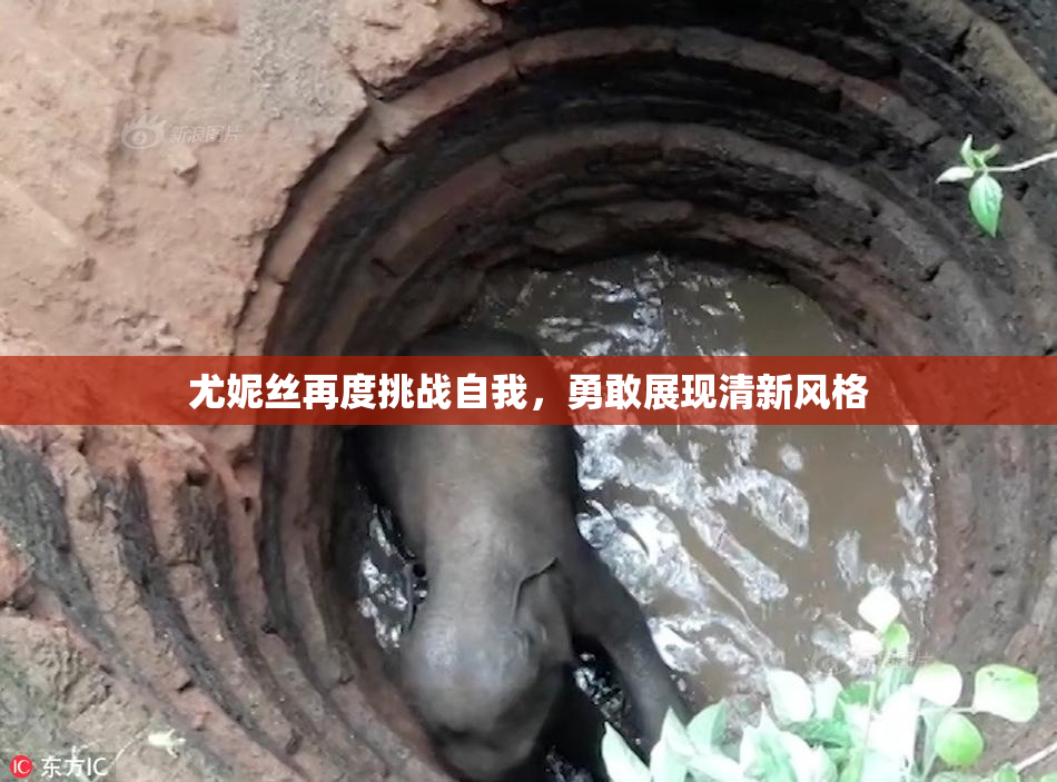 尤妮丝再度挑战自我，勇敢展现清新风格
