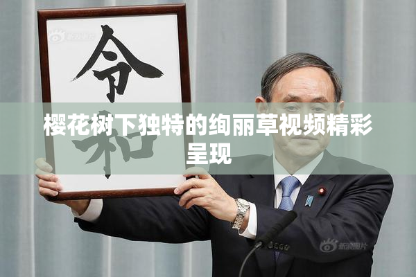 樱花树下独特的绚丽草视频精彩呈现