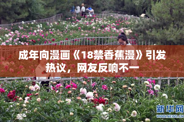 成年向漫画《18禁香蕉漫》引发热议，网友反响不一