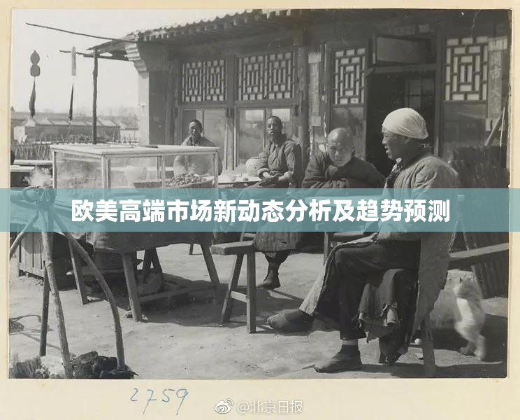 欧美高端市场新动态分析及趋势预测