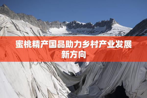 蜜桃精产国品助力乡村产业发展新方向