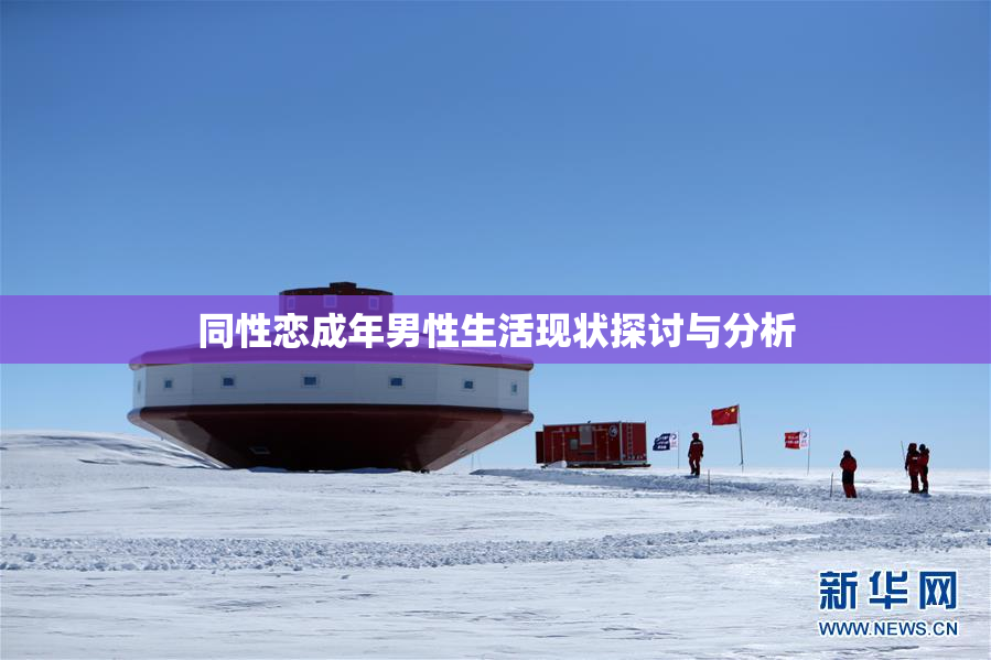 同性恋成年男性生活现状探讨与分析