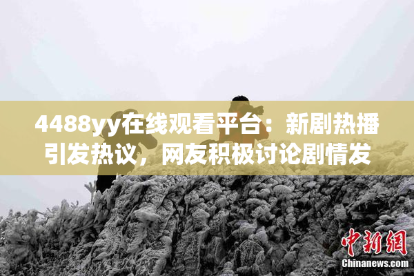 4488yy在线观看平台：新剧热播引发热议，网友积极讨论剧情发展