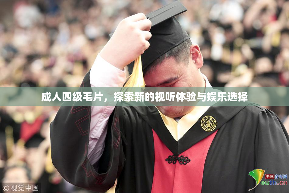 成人四级毛片，探索新的视听体验与娱乐选择