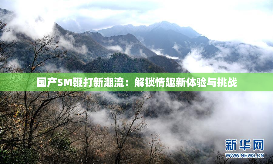 国产SM鞭打新潮流：解锁情趣新体验与挑战