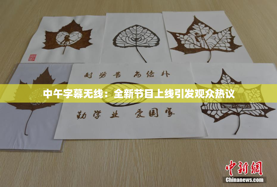 中午字幕无线：全新节目上线引发观众热议