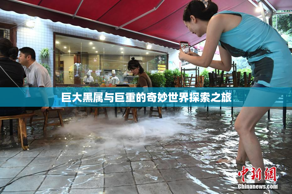 巨大黑属与巨重的奇妙世界探索之旅