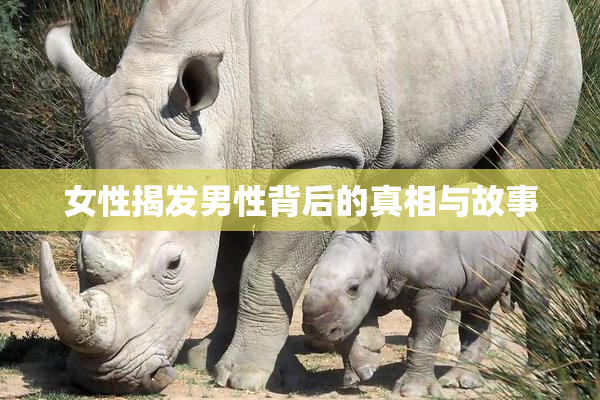 女性揭发男性背后的真相与故事