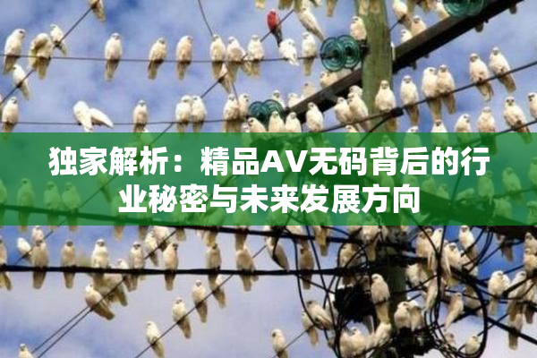 独家解析：精品AV无码背后的行业秘密与未来发展方向