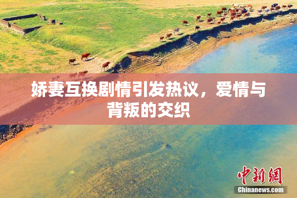娇妻互换剧情引发热议，爱情与背叛的交织
