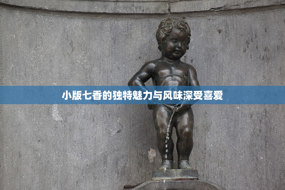 小版七香的独特魅力与风味深受喜爱