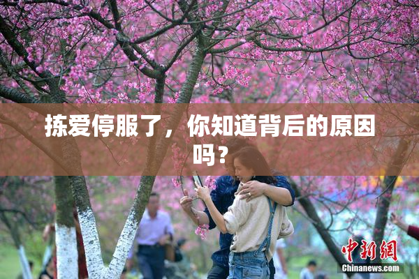 拣爱停服了，你知道背后的原因吗？
